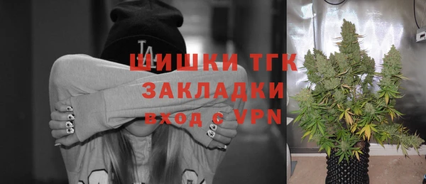 гидропоника Гусь-Хрустальный