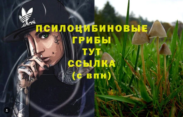 а пвп мука Гусев