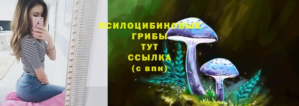 гидропоника Гусь-Хрустальный