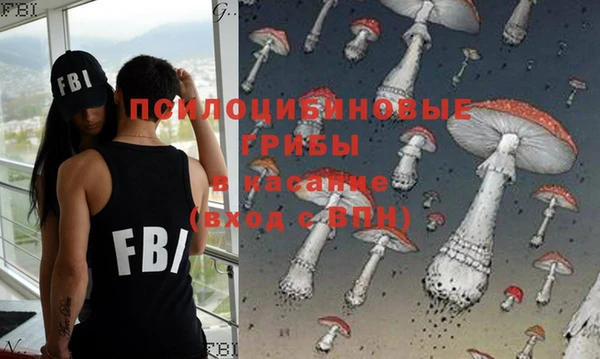 таблы Гусиноозёрск