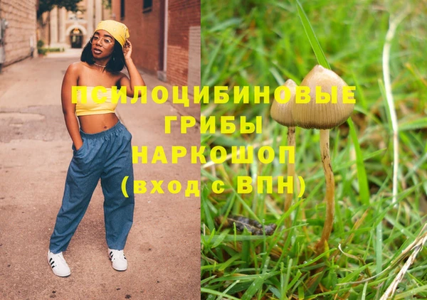 а пвп мука Гусев