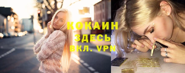 гидропоника Гусь-Хрустальный