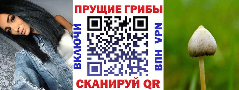 Галлюциногенные грибы мицелий  Купить  Ирбит 
